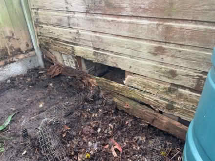 Photo of free Shed 8x6 - needs some repair (Moss Side PR25) #3