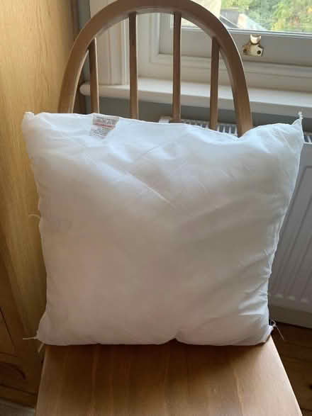 Photo of free Square cushion pad - synthetic filling (Mitcham's Corner CB4) #1