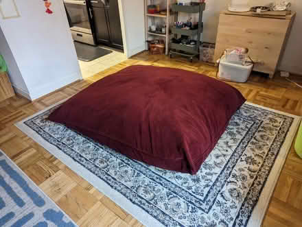 Photo of free Pillowsac (20008, near BreadFurst) #1
