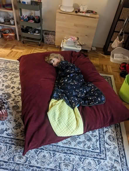 Photo of free Pillowsac (20008, near BreadFurst) #2