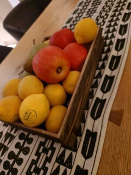 Photo of free Fake fruit (Ballyskeagh BT17) #2