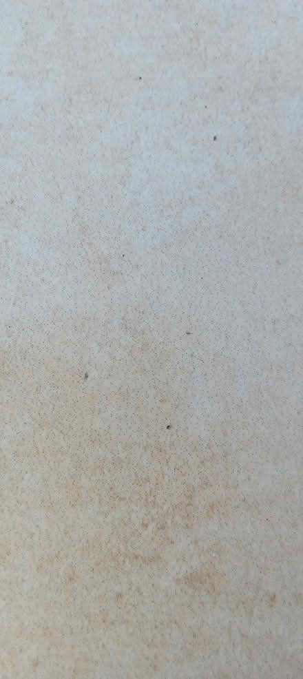 Photo of free Tiles (Orpington BR5) #1