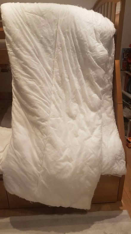 Photo of free Double duvet (SW16) #2