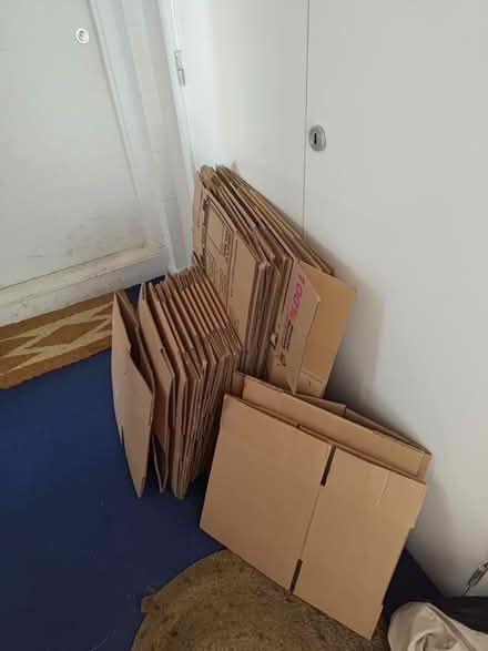 Photo of free Moving boxes (E13) #1