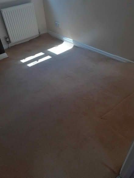 Photo of free Beige Bedroom Carpet + Underlay (CT5) #2