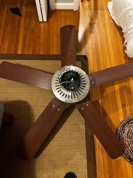 Photo of free Ceiling fan (West Springfield, VA) #1