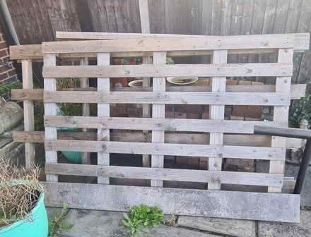 Photo of free Two large pallets (NG5 sherwood notts) #1