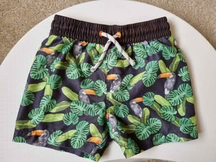 Photo of free Swim shorts (Woodley RG5) #1