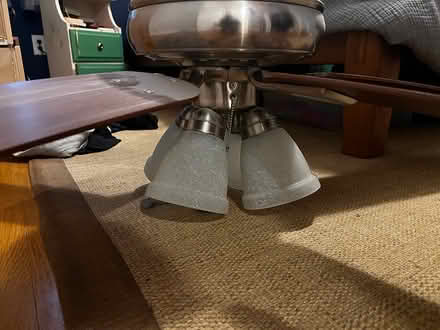 Photo of free Ceiling fan (West Springfield, VA) #2