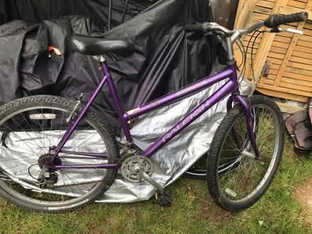 Photo of free Ladies Raleigh Vixen (6 Hallen Drive BS9) #1