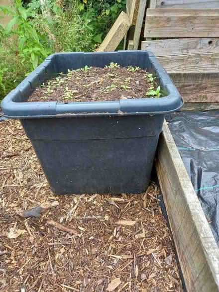 Photo of black recycling boxes to grow vegetables (Smiths Estate OX28) #1