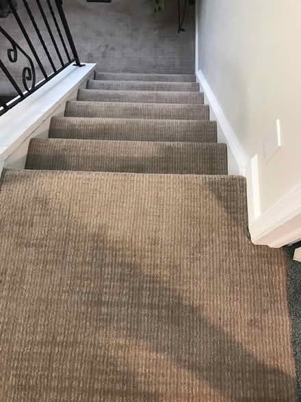 Photo of free Leftover Carpet and Foam Padding (East Greenbush near rte 4) #3