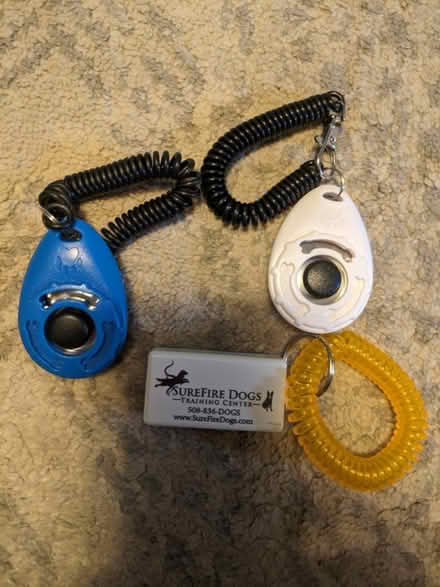 Photo of free Dog Training Clickers (Worcester, 01606) #1
