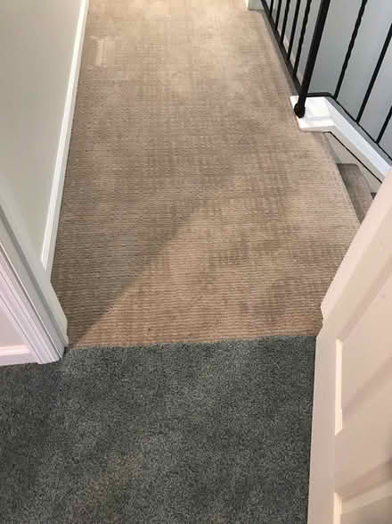 Photo of free Leftover Carpet and Foam Padding (East Greenbush near rte 4) #4