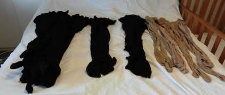 Photo of free Women's tights (Bengeo SG14) #2