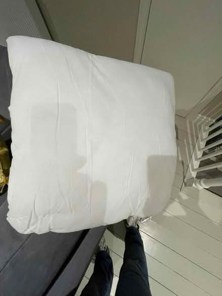 Photo of free 4 brand new foam 45/50cm cushion pads (Trumpington Ward CB2) #1