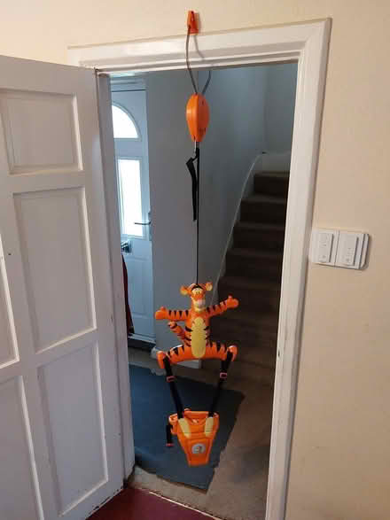 Photo of free Baby bouncer - Tigger (Guildford GU2) #3