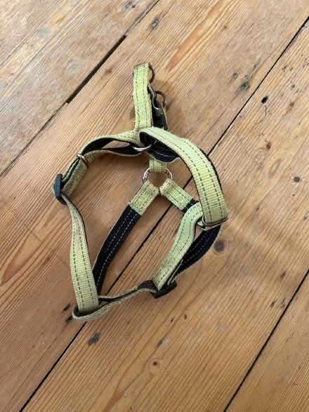 Photo of free Harness for a small/medium dog (Shoreham-by-Sea BN43) #1