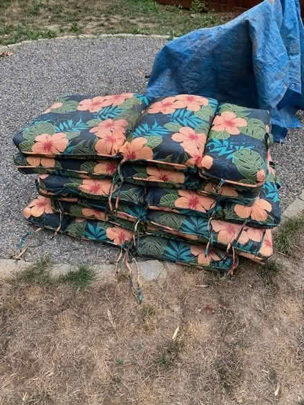 Photo of free Outdoor chair cushions (inner N/NE Portland) #1
