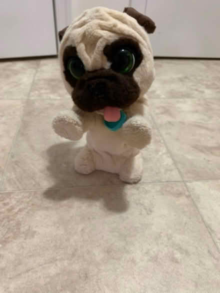 Photo of free Motorized dancing dog (Boulevard Manor) #1