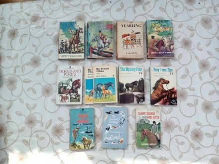 Photo of free Pony and horse books (Cholsey OX10) #1