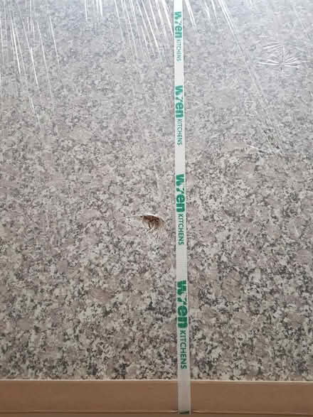 Photo of free WREN Kitchen worktop with a stone/granite finish (Ladderstile Gate KT2) #3