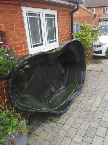 Photo of free Father in law old pond (Stevenage SG2) #2