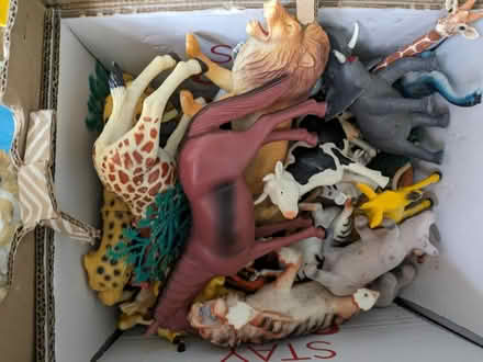 Photo of free Selection of toys (CV7) #3