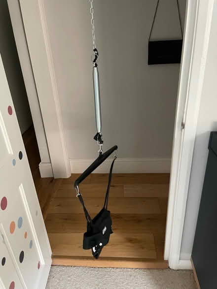 Photo of free Door mounted baby bouncer (Brixton) #2