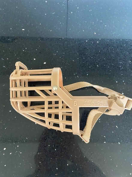 Photo of free Dog muzzle (East Hanney) #1