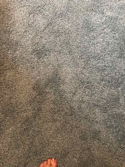 Photo of free Leftover Carpet and Foam Padding (East Greenbush near rte 4) #2