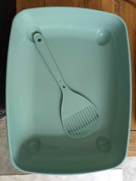 Photo of free Kitten tray (Sutton) #1