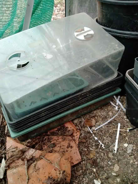 Photo of free Gardening supplies (Launceston PL15) #4