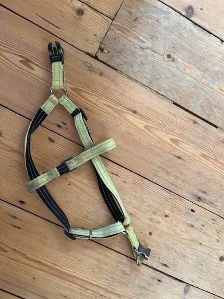 Photo of free Harness for a small/medium dog (Shoreham-by-Sea BN43) #2