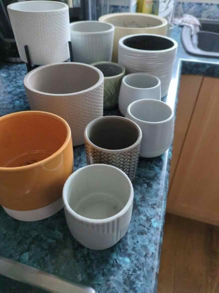 Photo of free Indoor Plant Pots (Worcester) #1