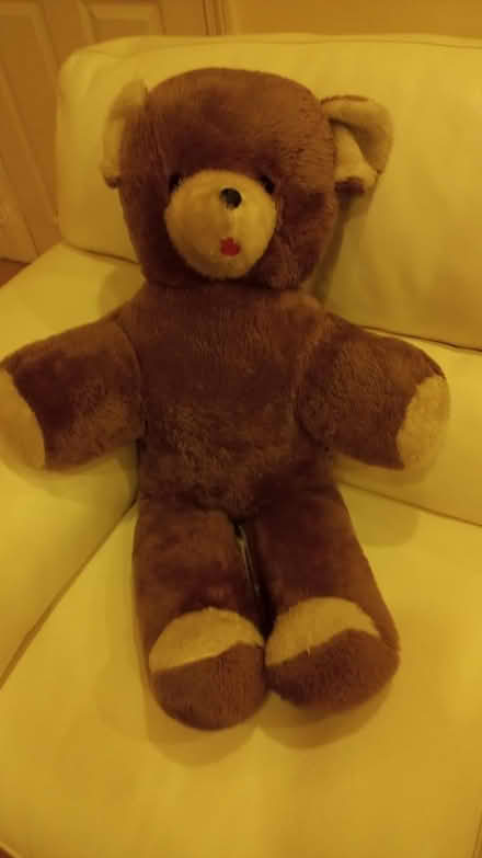 Photo of free Large Teddy Bear (Sopwell AL1) #1
