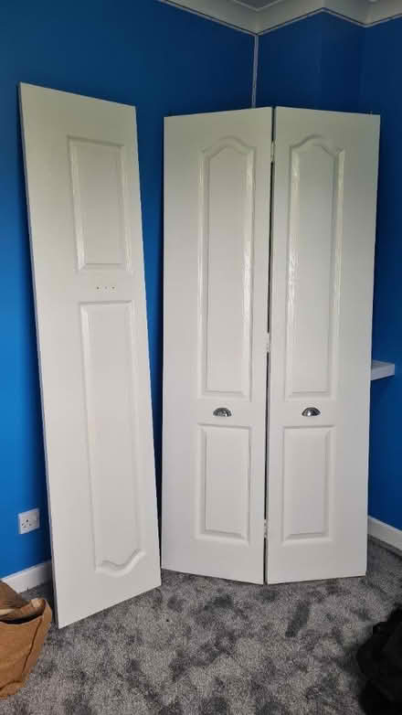 Photo of free Cupboard Bifold Doors (Efford PL3) #1