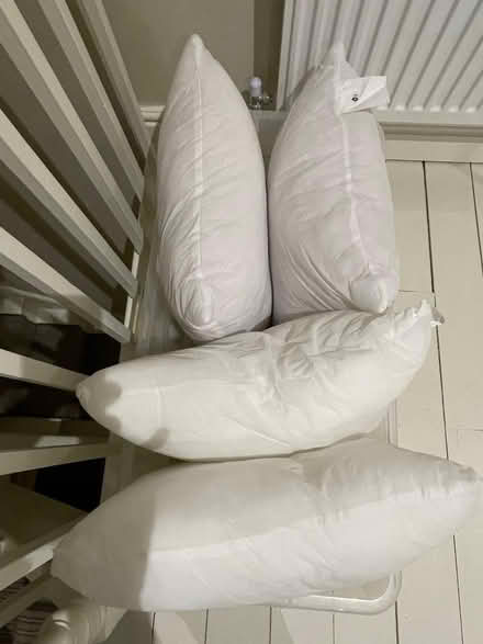Photo of free 4 brand new foam 45/50cm cushion pads (Trumpington Ward CB2) #2