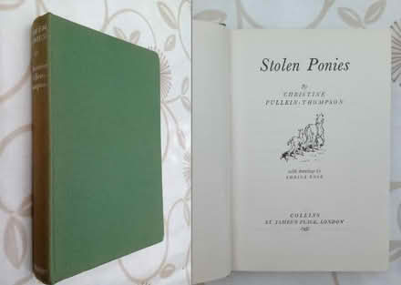 Photo of free Pony and horse books (Cholsey OX10) #3