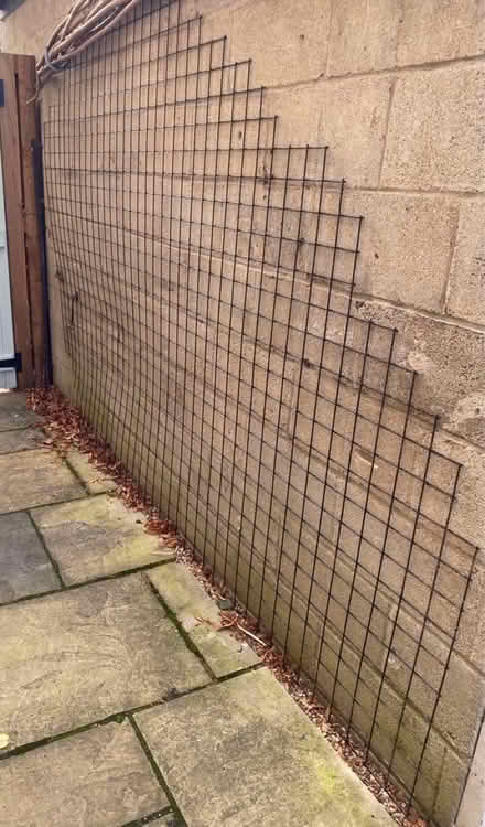 Photo of free 3m x 2m mesh with corners missing (75mm grid). (Headington OX3) #2