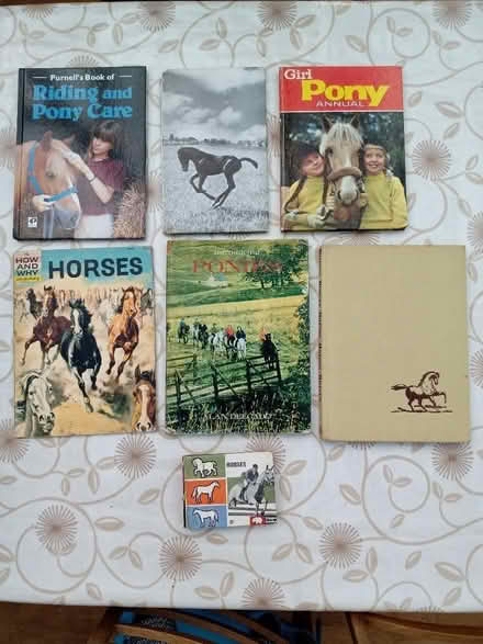 Photo of free Pony and horse books (Cholsey OX10) #2