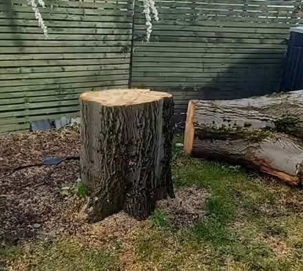 Photo of A garden table top (WS8) #1
