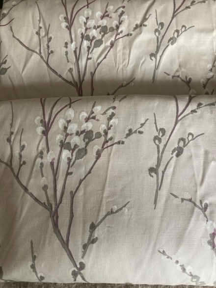 Photo of free Curtains (Oxton CH43) #1