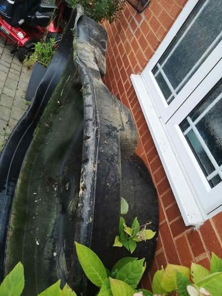 Photo of free Father in law old pond (Stevenage SG2) #1