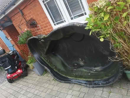 Photo of free Father in law old pond (Stevenage SG2) #3