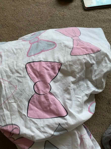 Photo of free Single bed set (Leigh on sea) #1