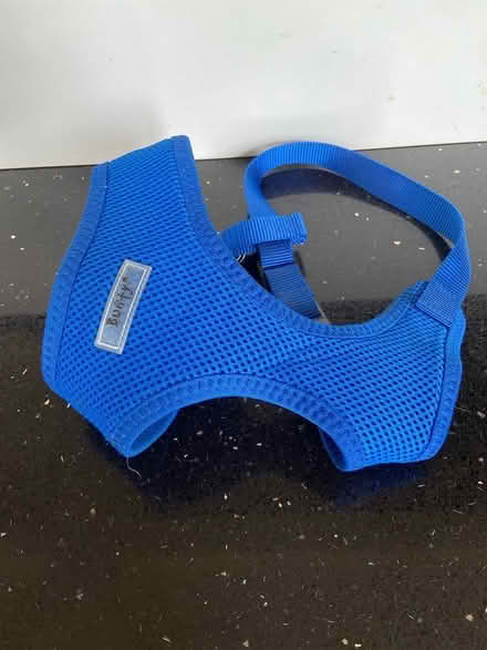 Photo of free Dog harness (East Hanney) #1