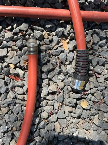 Photo of free leaky 50' hose (West side Petaluma) #3