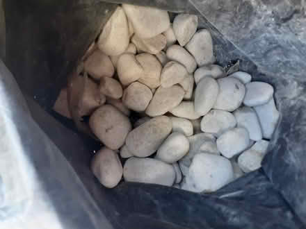 Photo of free White cobbles & pebbles (Holly Lodge Estate N6) #1