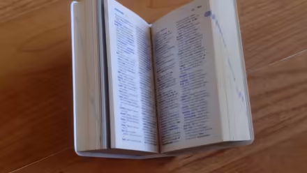 Photo of free Pocket German Dictionary L35 (Whiston L35) #4